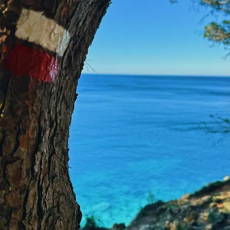 Romy T3 E - A 20m De La De Cala Montgo 公寓 *